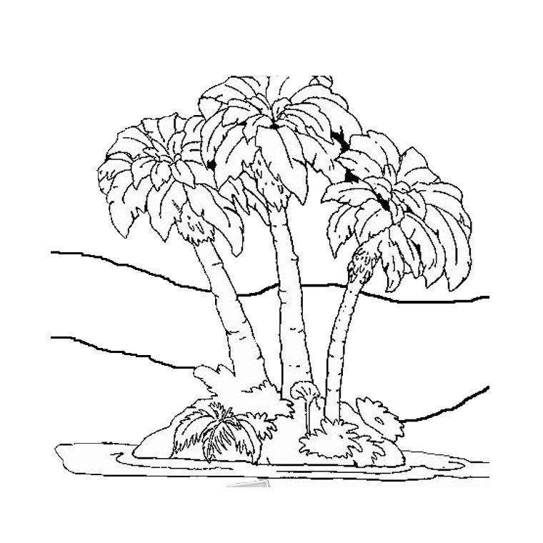 Coloring page: Palm tree (Nature) #161153 - Free Printable Coloring Pages