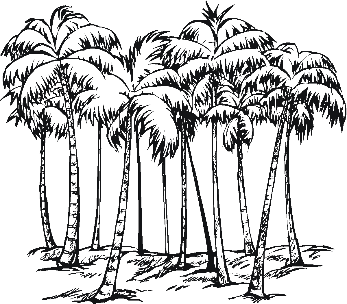 Coloring page: Palm tree (Nature) #161177 - Free Printable Coloring Pages