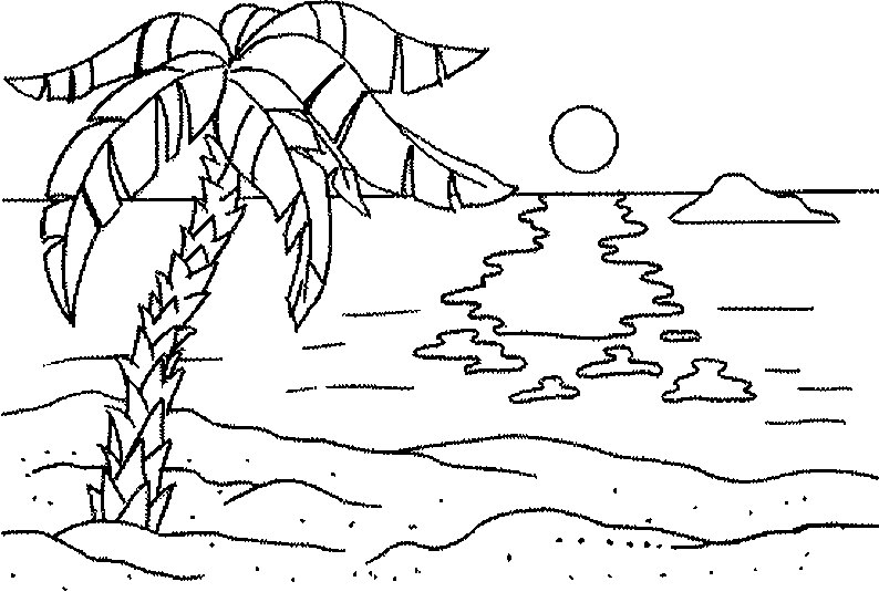 Palm Tree 161210 Nature Printable Coloring Pages