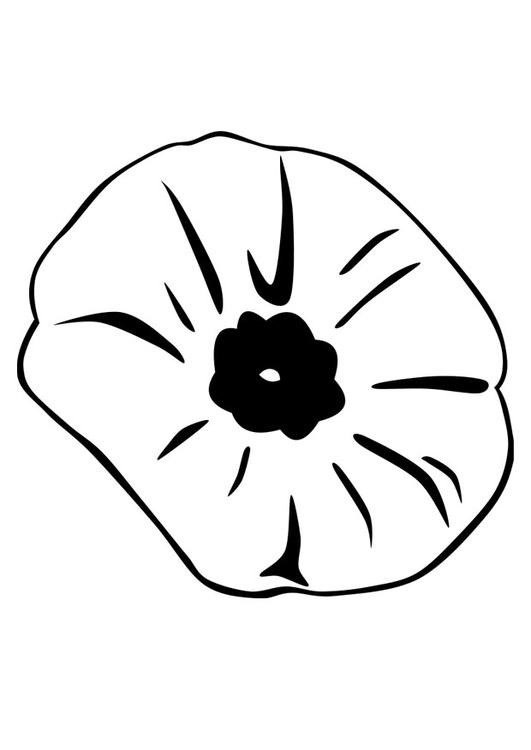 Coloring page: Poppy (Nature) #162438 - Free Printable Coloring Pages