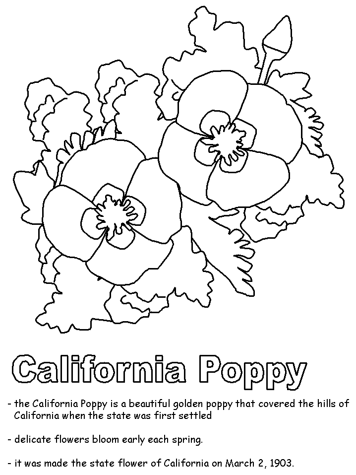 Coloring page: Poppy (Nature) #162464 - Free Printable Coloring Pages