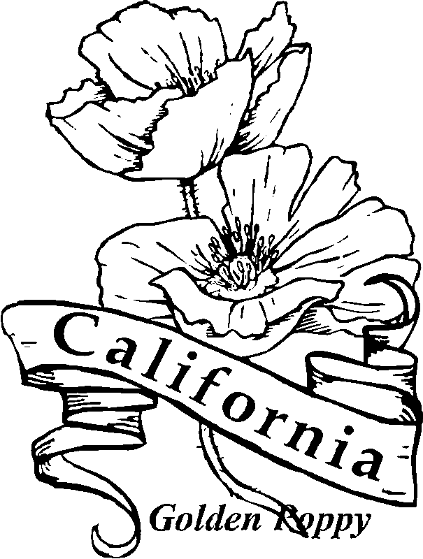 Coloring page: Poppy (Nature) #162477 - Free Printable Coloring Pages