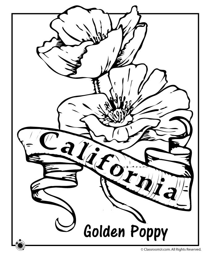 Coloring page: Poppy (Nature) #162486 - Free Printable Coloring Pages