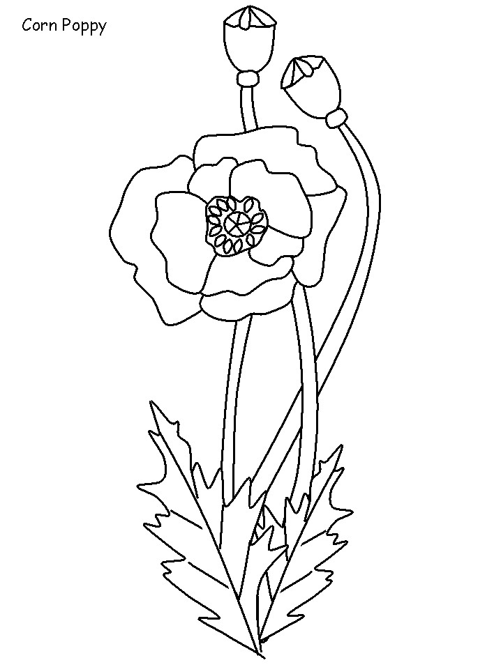 Coloring page: Poppy (Nature) #162548 - Free Printable Coloring Pages
