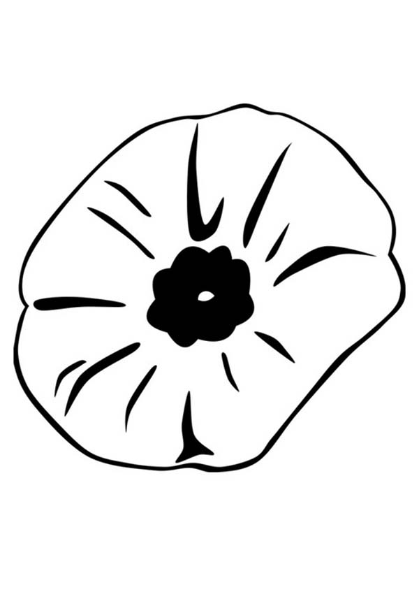 Coloring page: Poppy (Nature) #162585 - Free Printable Coloring Pages