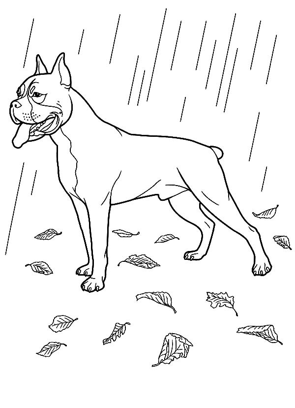 Coloring page: Rain (Nature) #158465 - Free Printable Coloring Pages