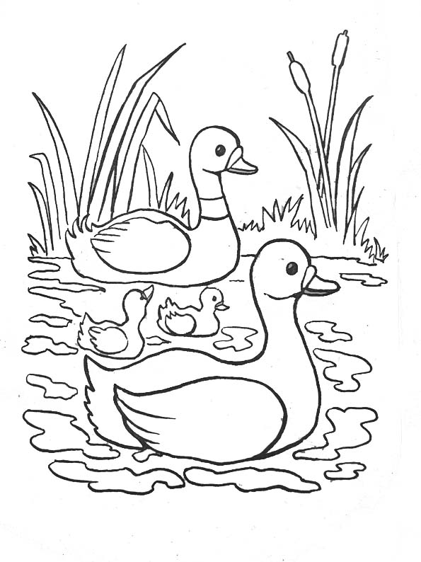 Coloring page: River (Nature) #159321 - Free Printable Coloring Pages