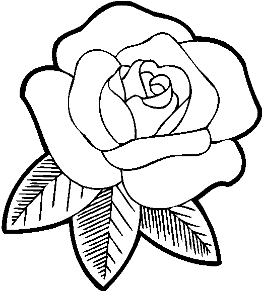 drawings roses nature printable coloring pages