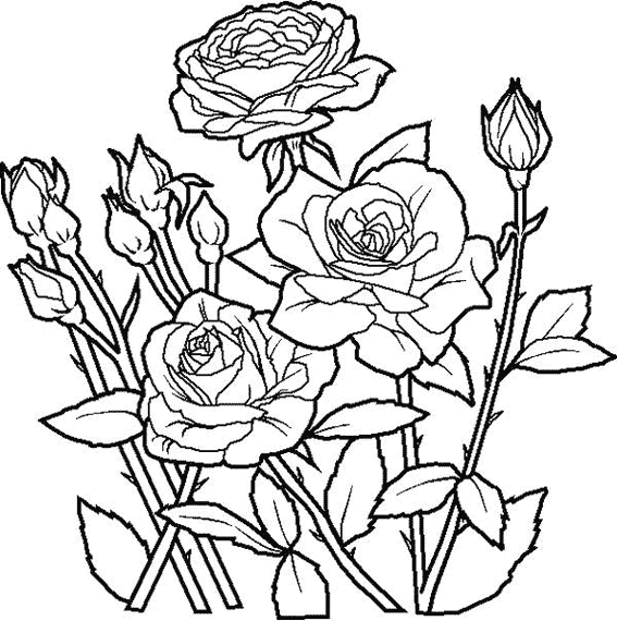 Coloring page: Roses (Nature) #161888 - Free Printable Coloring Pages