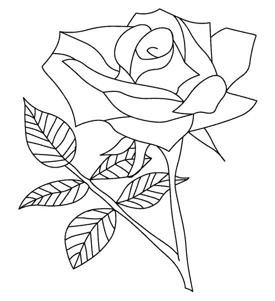 Coloring page: Roses (Nature) #161894 - Free Printable Coloring Pages