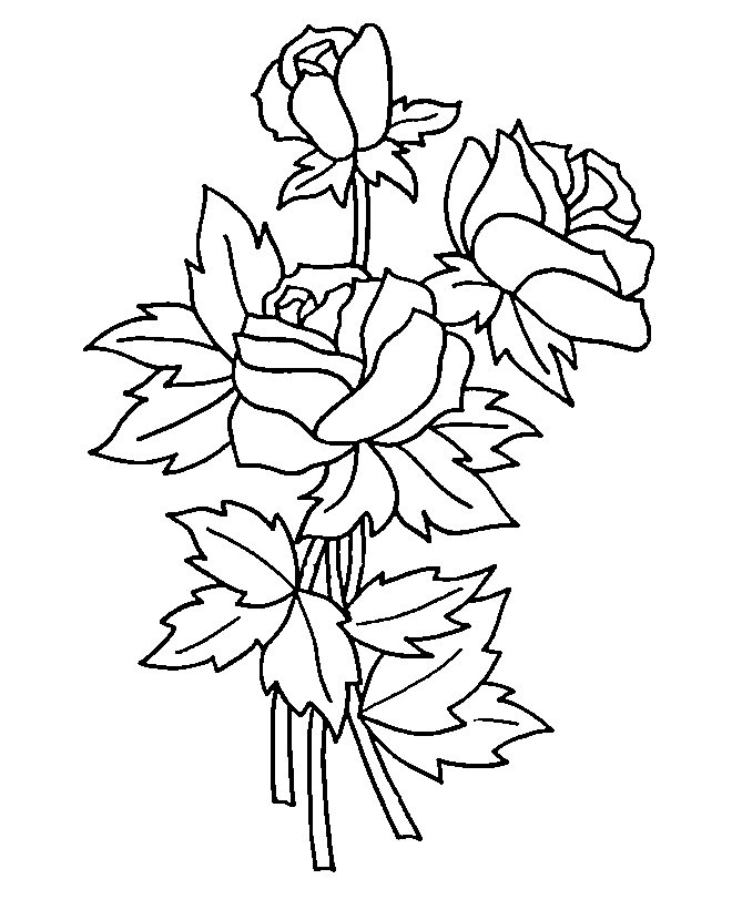 Coloring page: Roses (Nature) #161895 - Free Printable Coloring Pages