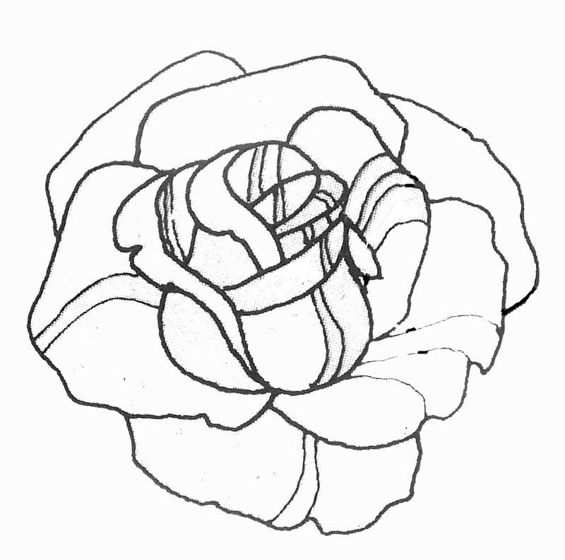 Coloring page: Roses (Nature) #161898 - Free Printable Coloring Pages