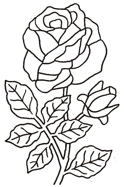 Coloring page: Roses (Nature) #161899 - Free Printable Coloring Pages