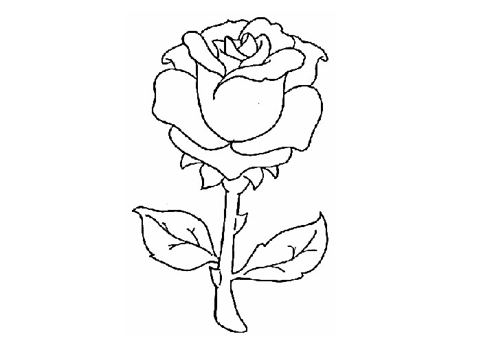Coloring page: Roses (Nature) #161907 - Free Printable Coloring Pages