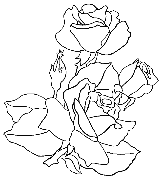 Coloring page: Roses (Nature) #161908 - Free Printable Coloring Pages