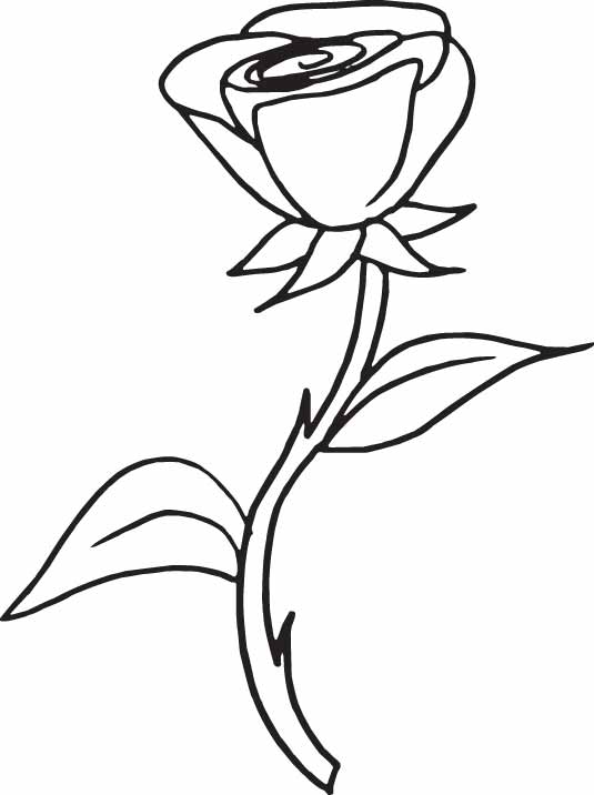 Coloring page: Roses (Nature) #161916 - Free Printable Coloring Pages