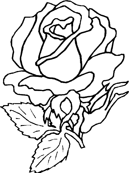 Coloring page: Roses (Nature) #161922 - Free Printable Coloring Pages