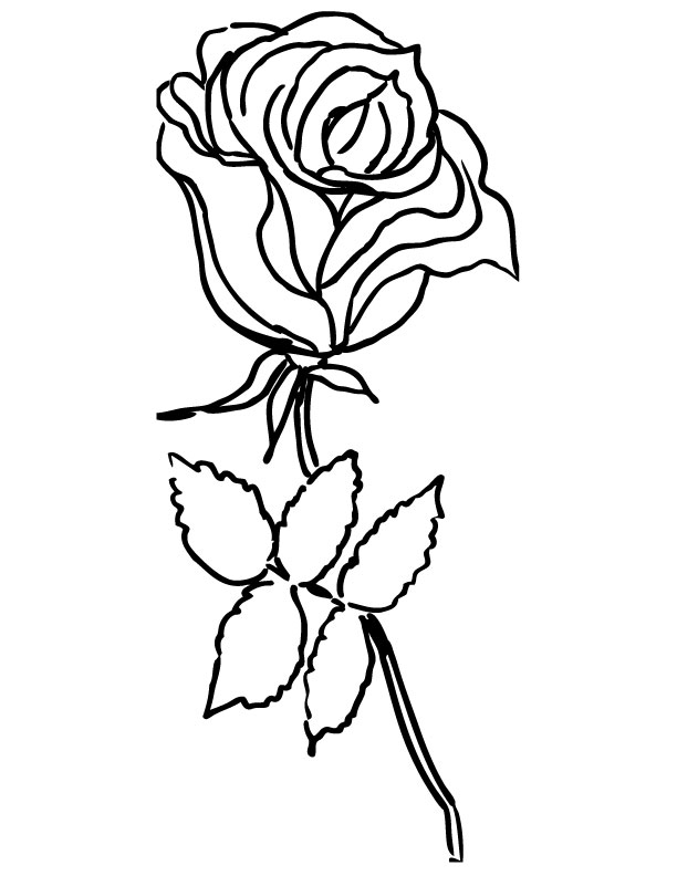 Coloring page: Roses (Nature) #161935 - Free Printable Coloring Pages