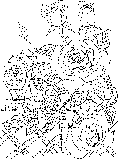 Coloring page: Roses (Nature) #161944 - Free Printable Coloring Pages