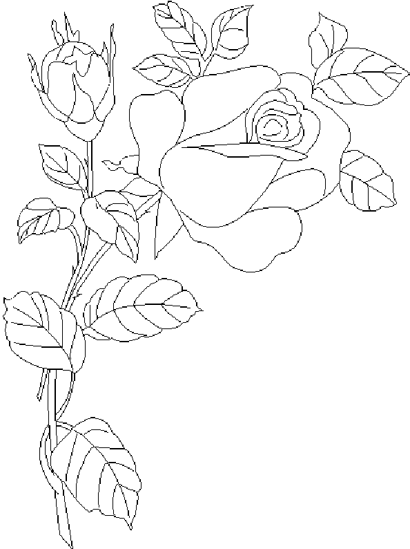 Coloring page: Roses (Nature) #161949 - Free Printable Coloring Pages