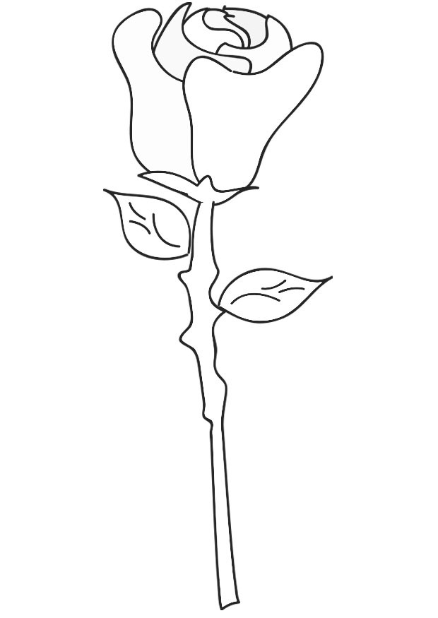 Coloring page: Roses (Nature) #161950 - Free Printable Coloring Pages
