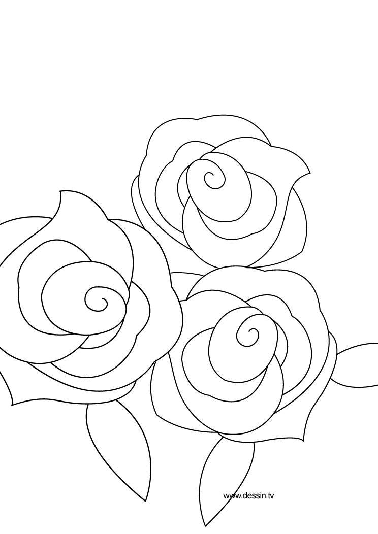 Coloring page: Roses (Nature) #161958 - Free Printable Coloring Pages