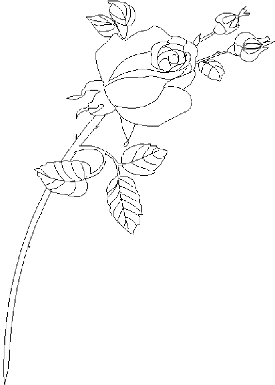 Coloring page: Roses (Nature) #161965 - Free Printable Coloring Pages