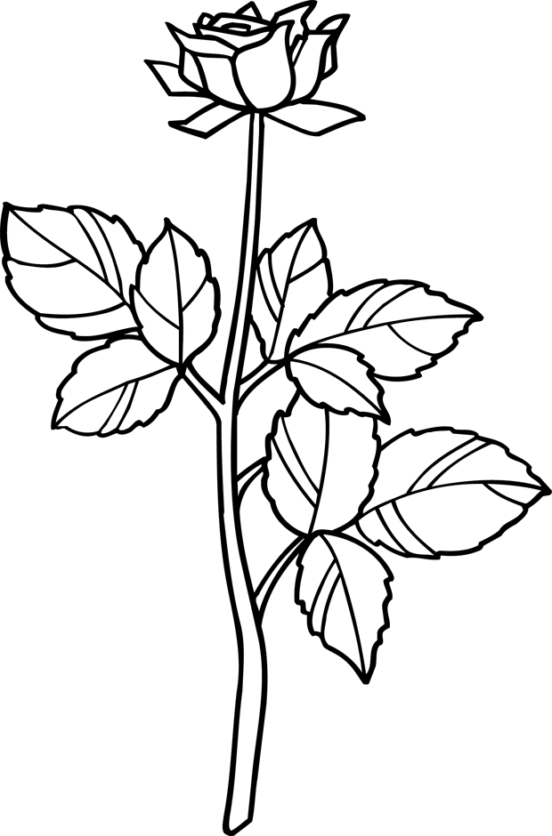 Coloring page: Roses (Nature) #161973 - Free Printable Coloring Pages
