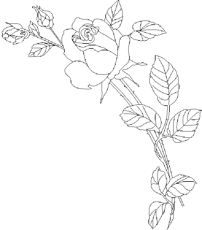 Coloring page: Roses (Nature) #161974 - Free Printable Coloring Pages