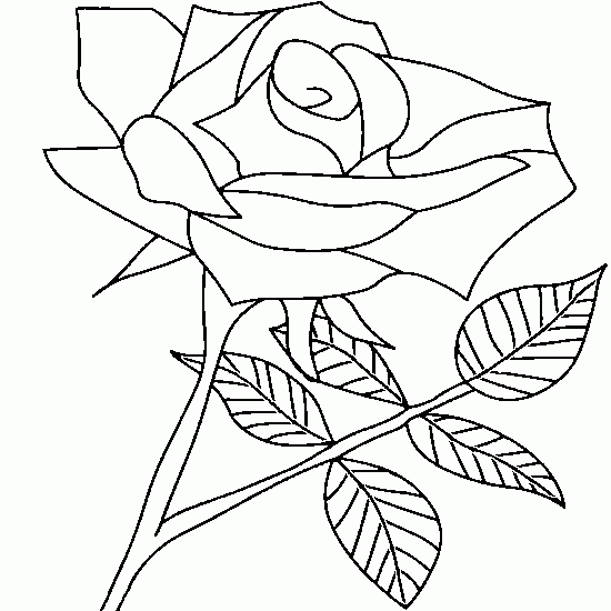 Coloring page: Roses (Nature) #161982 - Free Printable Coloring Pages