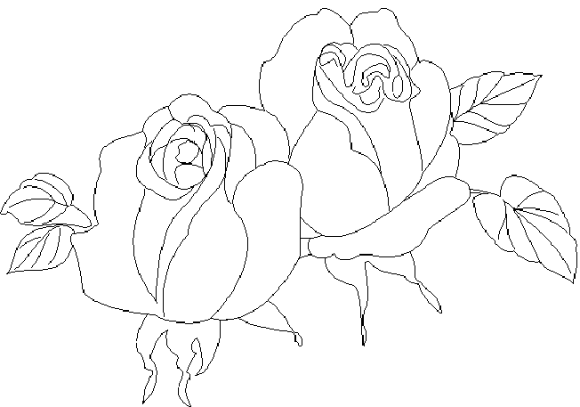 Coloring page: Roses (Nature) #161988 - Free Printable Coloring Pages