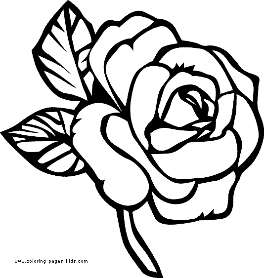 Coloring page: Roses (Nature) #162017 - Free Printable Coloring Pages