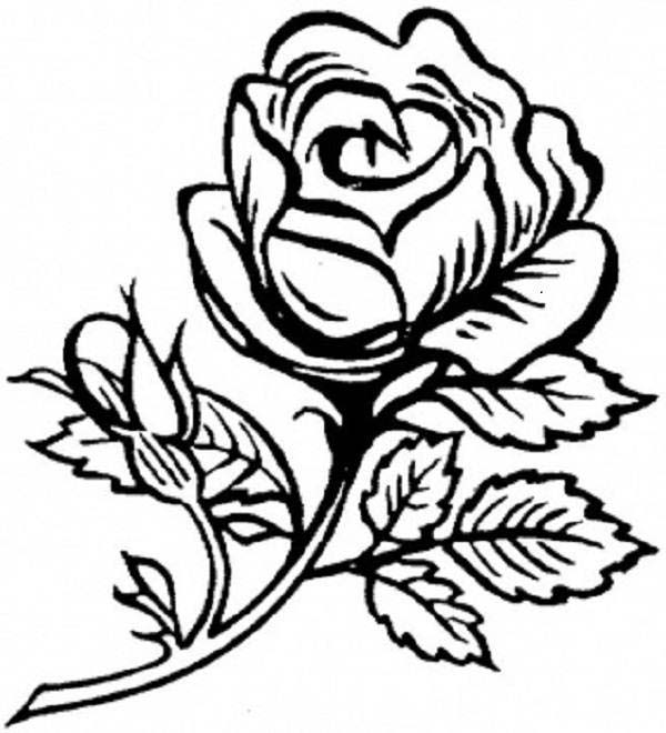 Coloring page: Roses (Nature) #162020 - Free Printable Coloring Pages