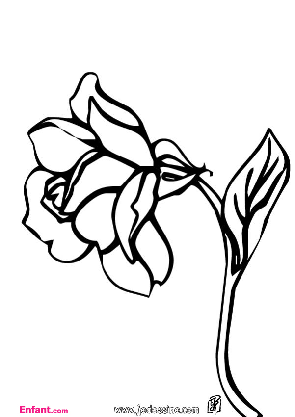 Coloring page: Roses (Nature) #162026 - Free Printable Coloring Pages
