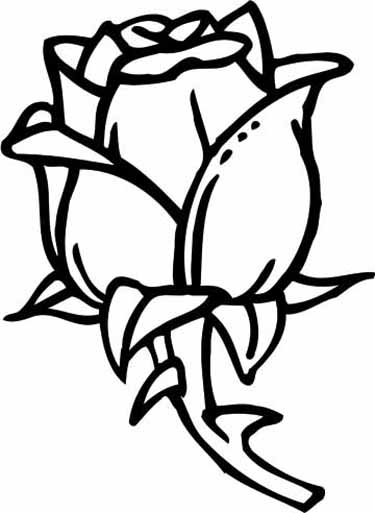 Coloring page: Roses (Nature) #162032 - Free Printable Coloring Pages