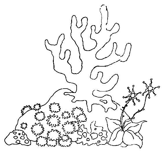 Coloring page: Seabed (Nature) #160105 - Free Printable Coloring Pages