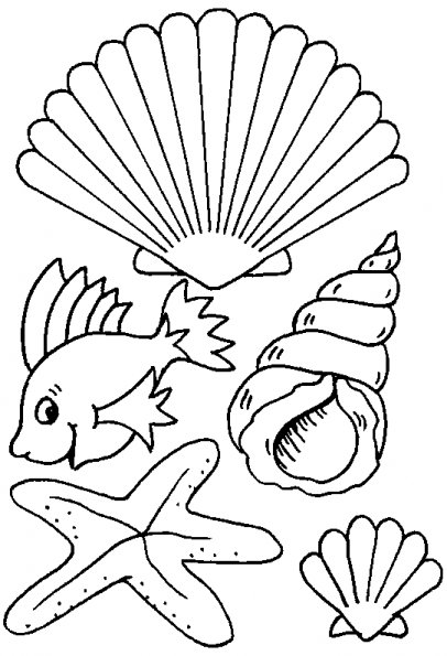 Coloring page: Shell (Nature) #163138 - Free Printable Coloring Pages