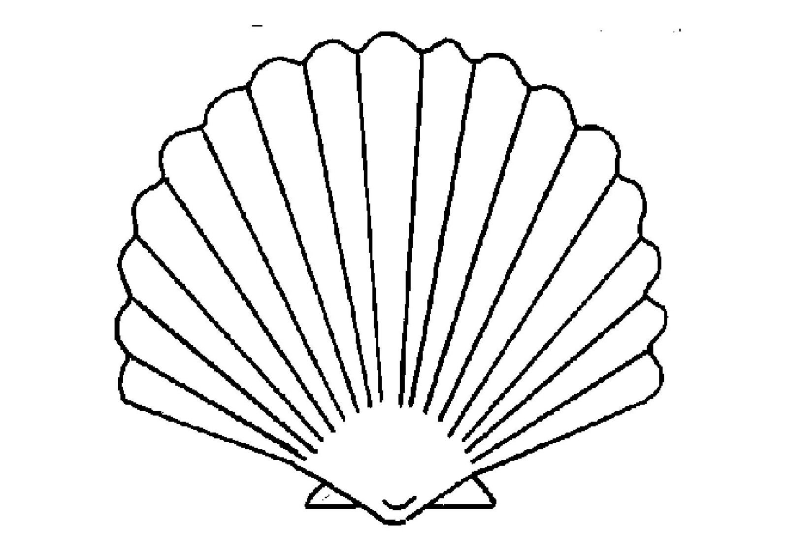 Coloring page: Shell (Nature) #163142 - Free Printable Coloring Pages