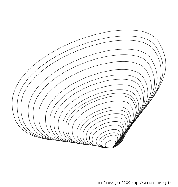 Coloring page: Shell (Nature) #163143 - Free Printable Coloring Pages