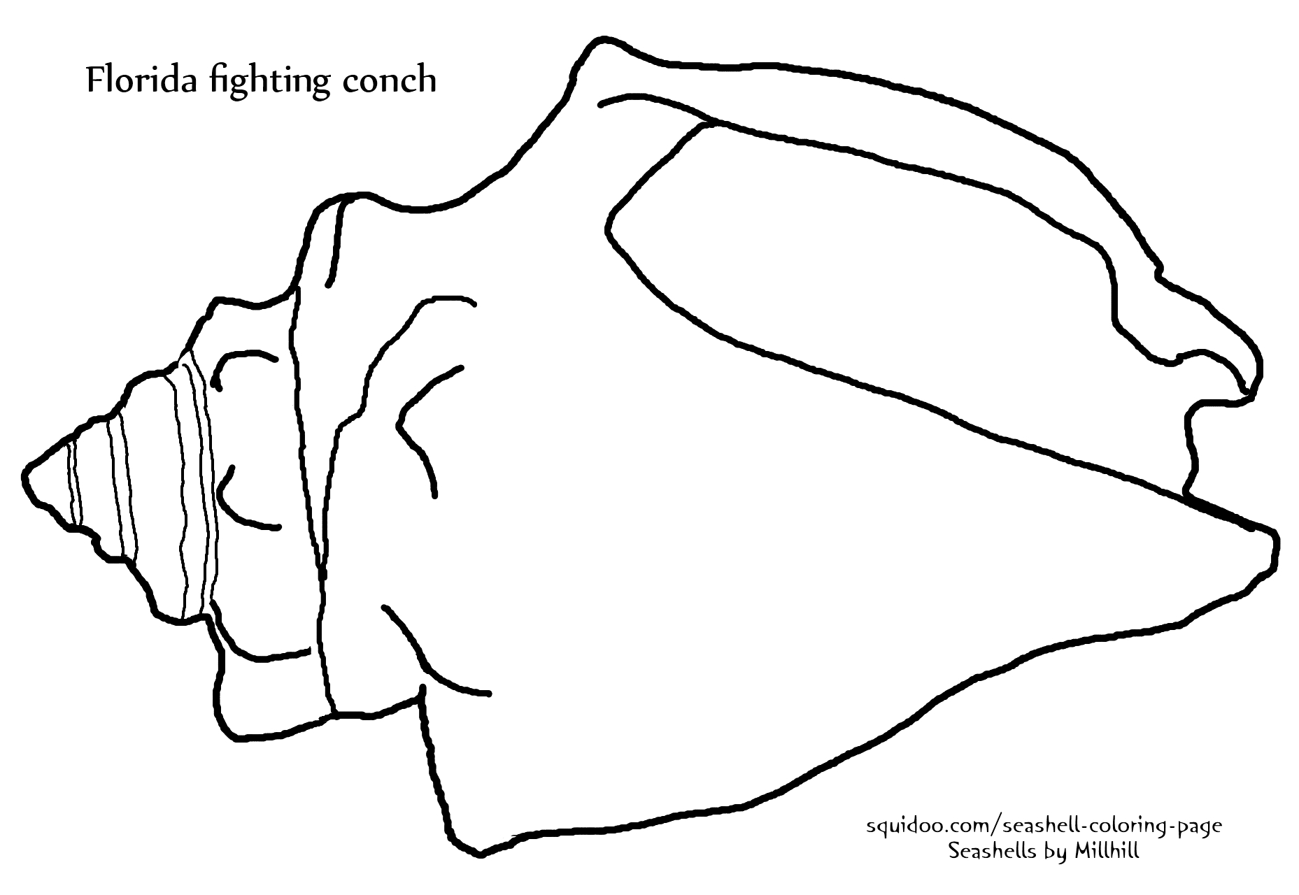 Coloring page: Shell (Nature) #163168 - Free Printable Coloring Pages