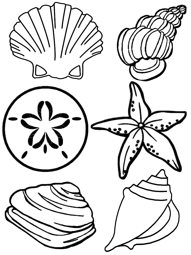 Coloring page: Shell (Nature) #163170 - Free Printable Coloring Pages