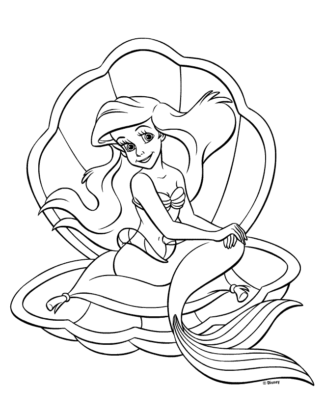 Coloring page: Shell (Nature) #163177 - Free Printable Coloring Pages