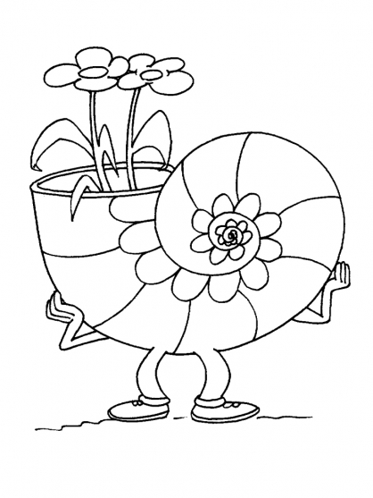 Coloring page: Shell (Nature) #163182 - Free Printable Coloring Pages