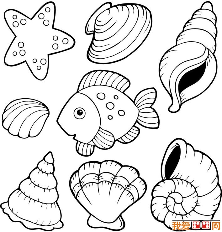 Coloring page: Shell (Nature) #163190 - Free Printable Coloring Pages