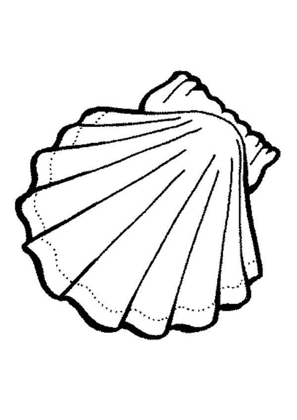 Coloring page: Shell (Nature) #163203 - Free Printable Coloring Pages