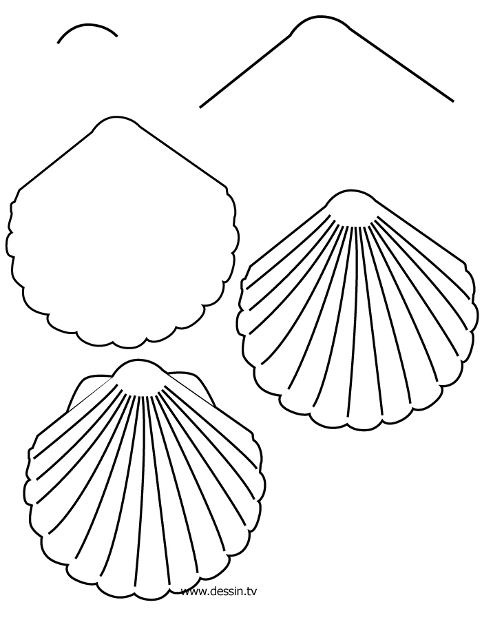 Coloring page: Shell (Nature) #163239 - Free Printable Coloring Pages