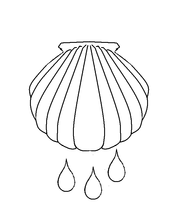 Coloring page: Shell (Nature) #163285 - Free Printable Coloring Pages