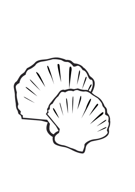Coloring page: Shell (Nature) #163318 - Free Printable Coloring Pages