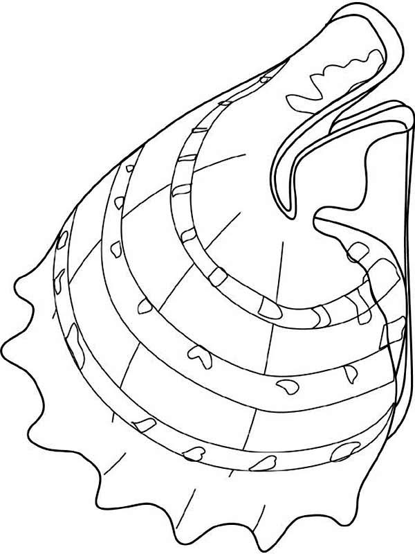 Coloring page: Shell (Nature) #163385 - Free Printable Coloring Pages