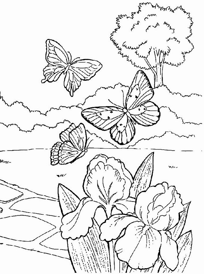 Coloring page: Spring season (Nature) #164753 - Free Printable Coloring Pages